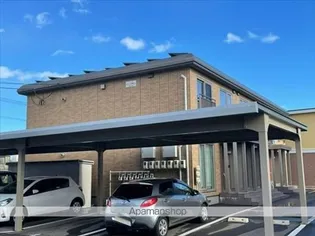 パンプキンの画像